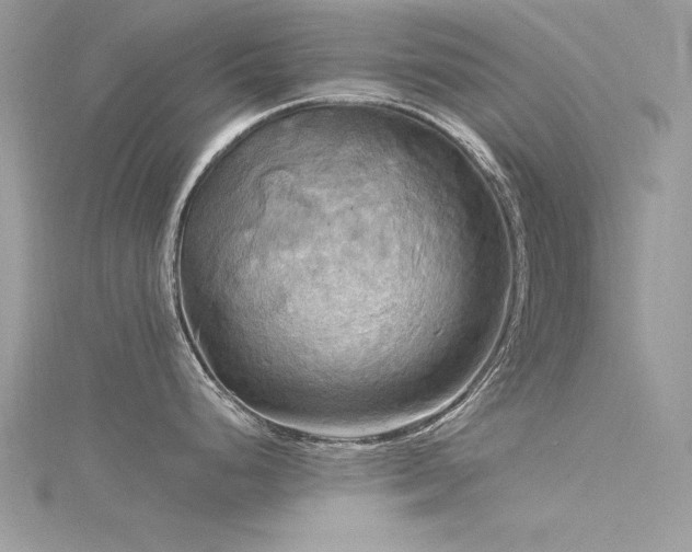 X0000116301248200911301435