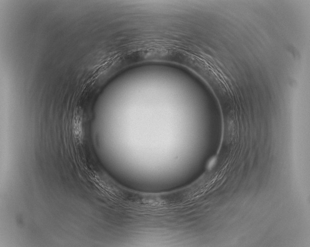 X0000116301250200911301435