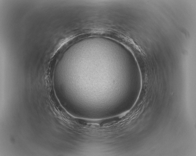 X0000116301256200911301435