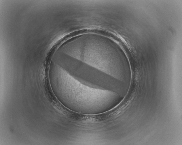 X0000116301263200911301434