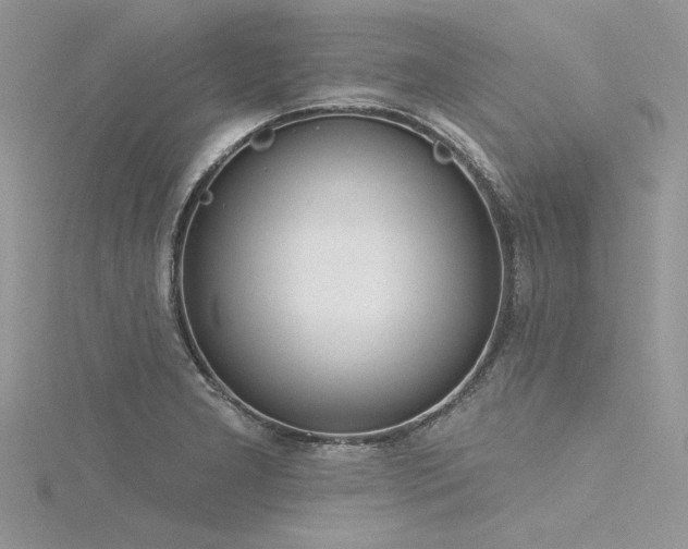 X0000116301277200911301434
