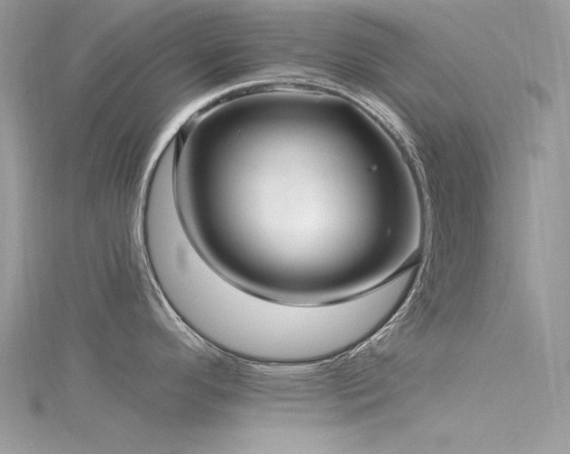X0000116301296200911301434