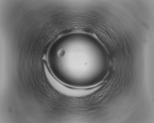 X0000116301298200911301433