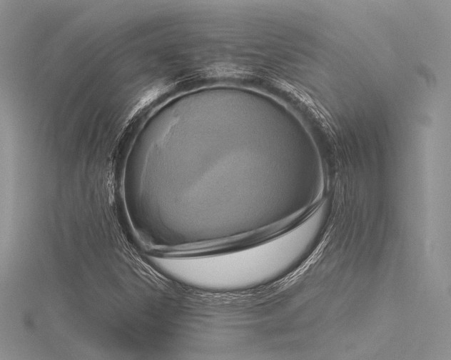 X0000116301306200911301434