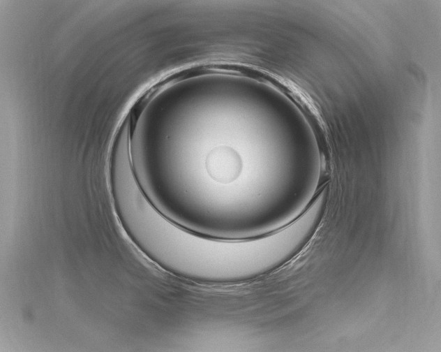 X0000116301342200911301434