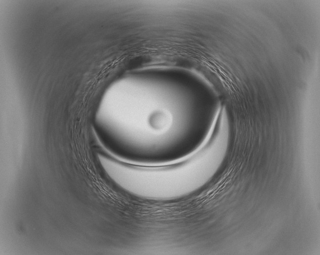 X0000116301345200911301433