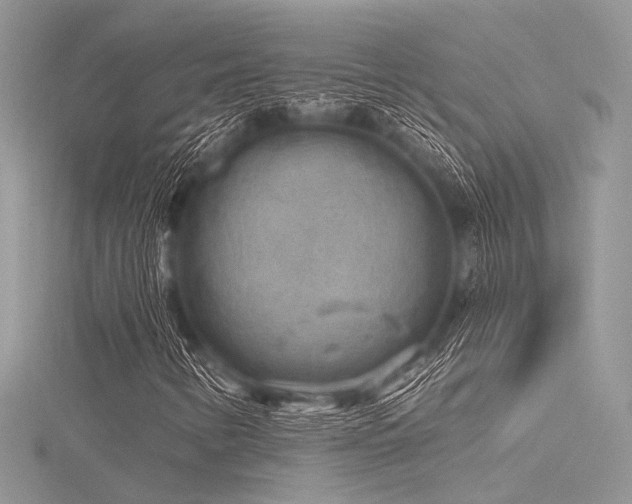 X0000116301346200911301433