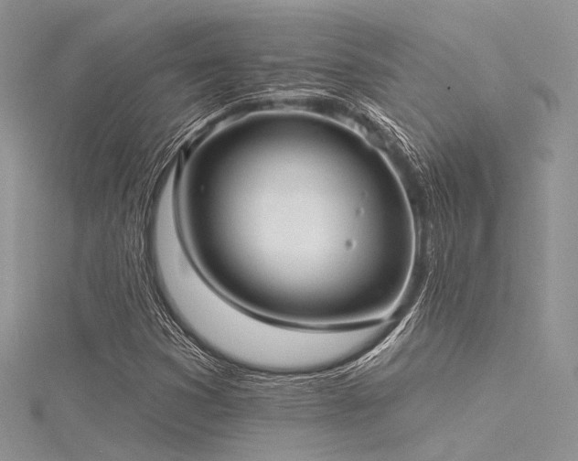 X0000116301353200911301433