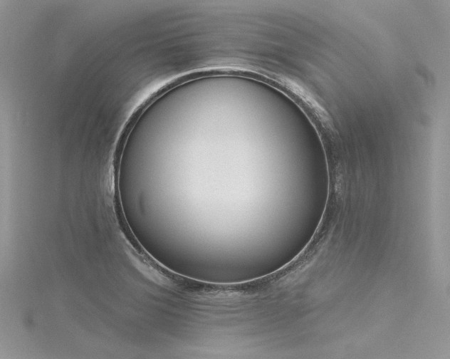 X0000116301372200911301433