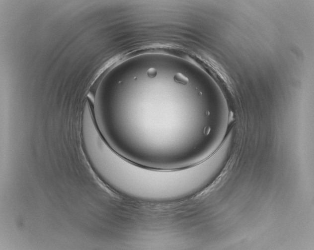 X0000116301377200911301433