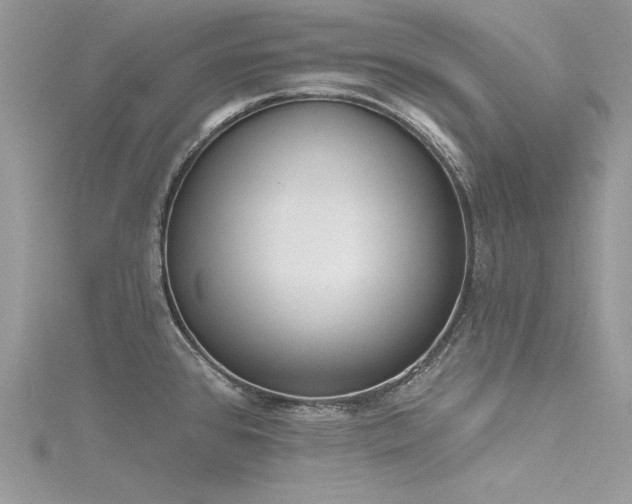 X0000116301384200911301433