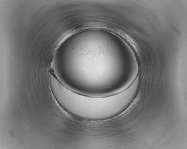 X0000116301385200911301433