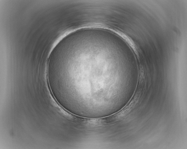 X0000116301390200911301433