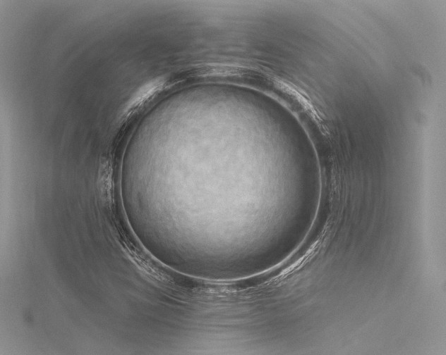 X0000116301403200911301432