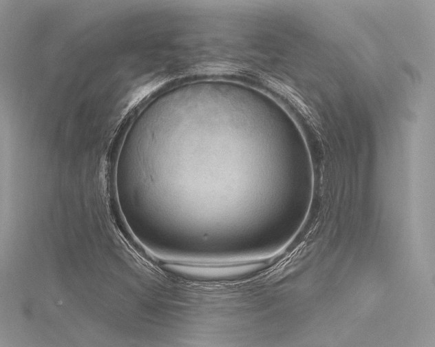 X0000116301404200911301432