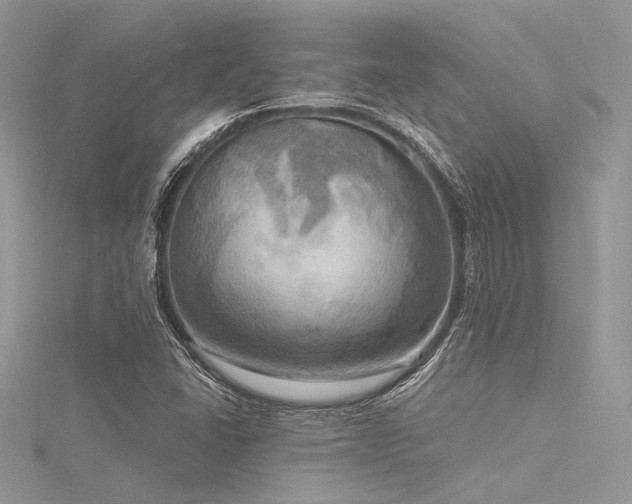 X0000116301406200911301432