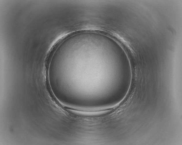 X0000116301408200911301432