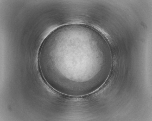 X0000116301423200911301433