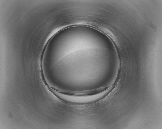 X0000116301428200911301433