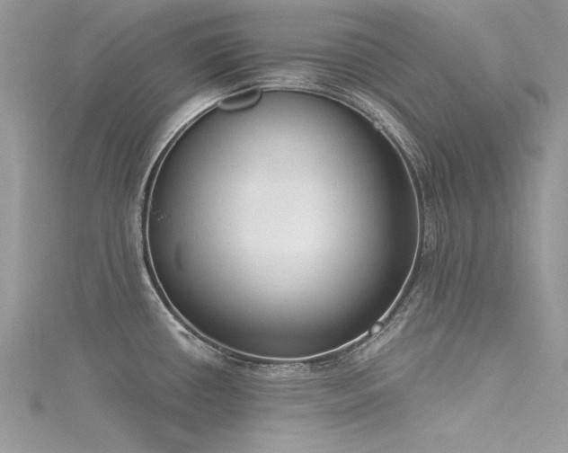 X0000116301434200911301433