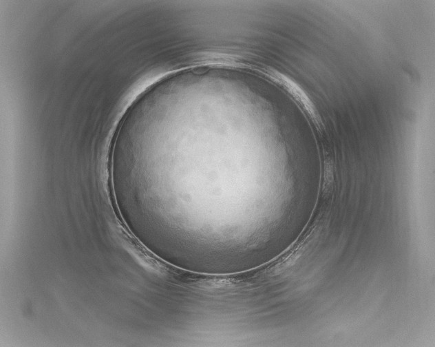 X0000116301435200911301433