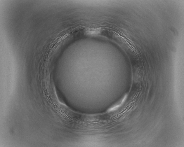 X0000116301441200911301432
