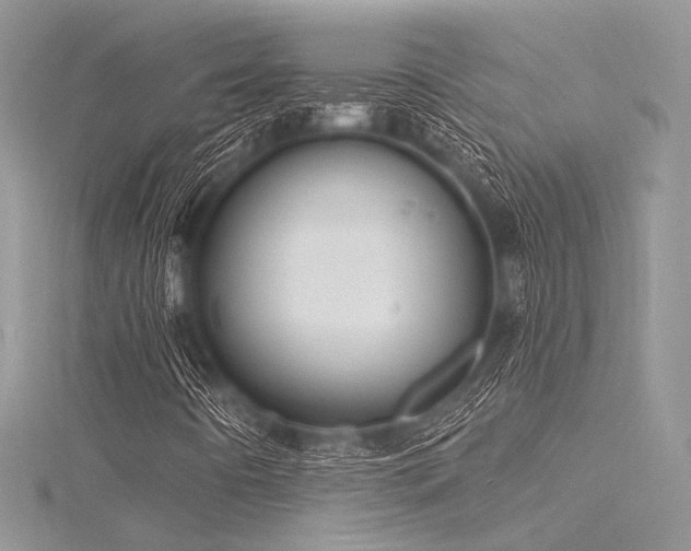 X0000116301442200911301432