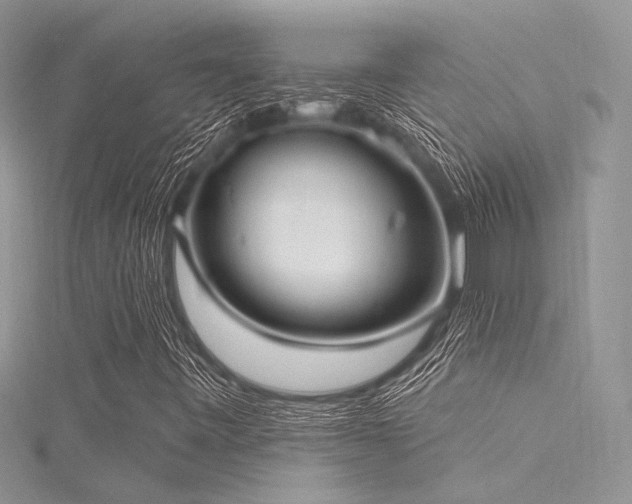 X0000116301443200911301432