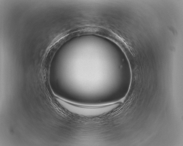 X0000116301448200911301432