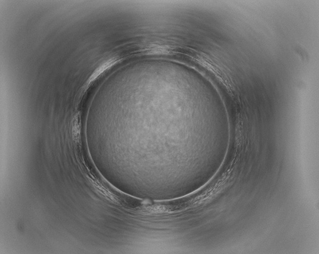 X0000116301450200911301432
