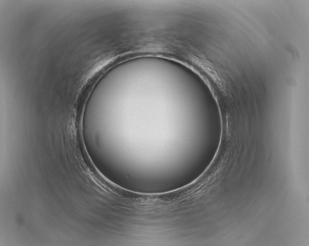X0000116301452200911301432