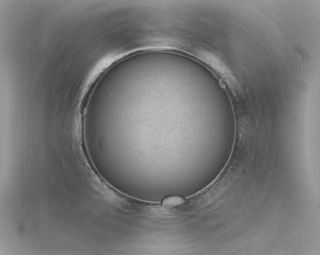 X0000116301472200911301432