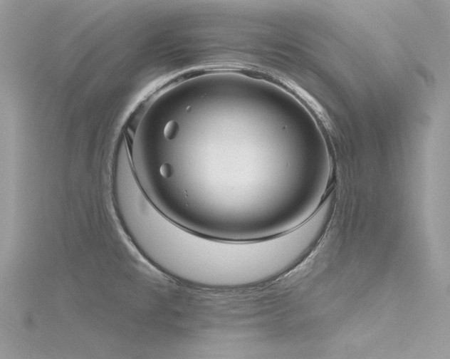 X0000116301477200911301432