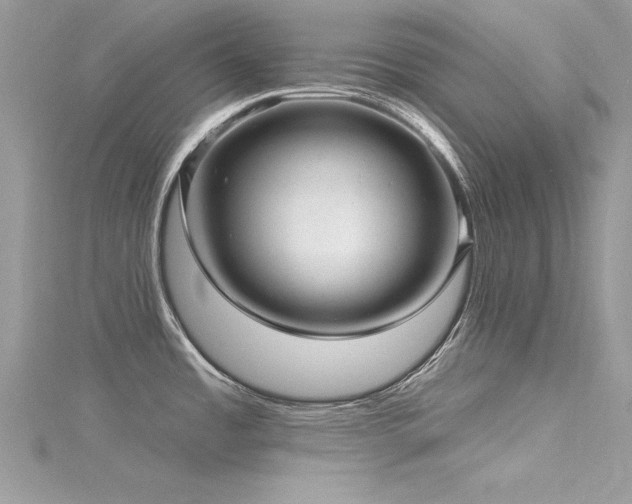 X0000116301485200911301432
