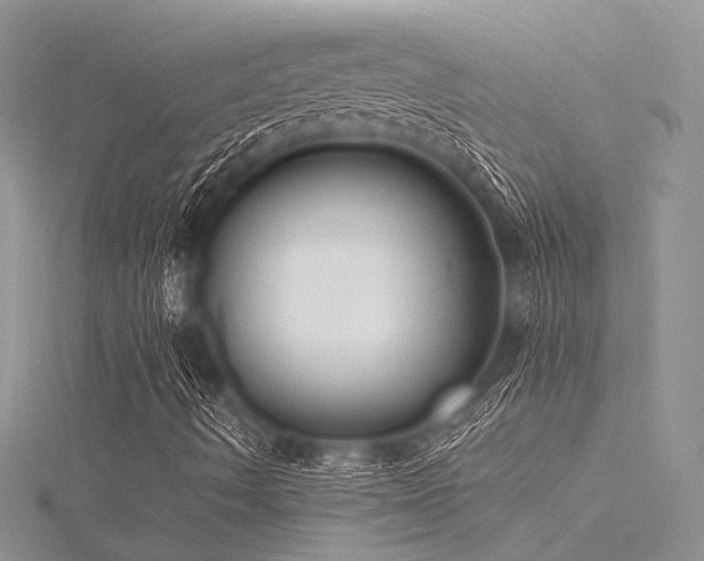 X0000116301490200911301431