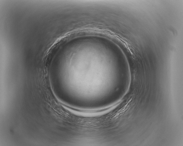 X0000116301494200911301431