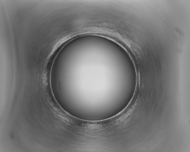 X0000116301501200911301431