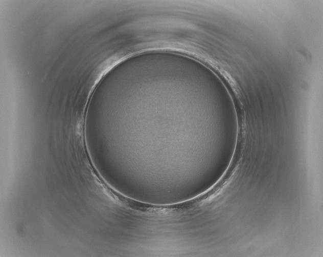 X0000116301529200911301431