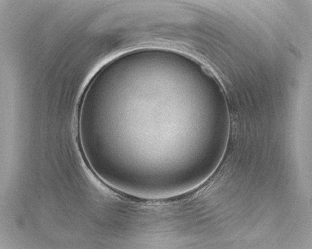 X0000116301531200911301431