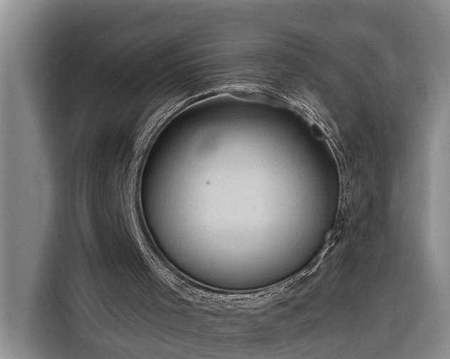 X0000116300001200912071258