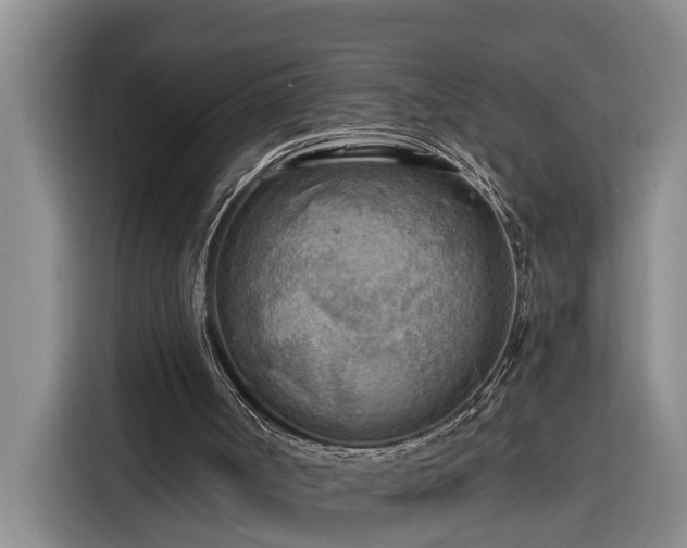 X0000116300002200912071258