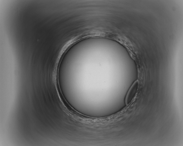 X0000116300003200912071258