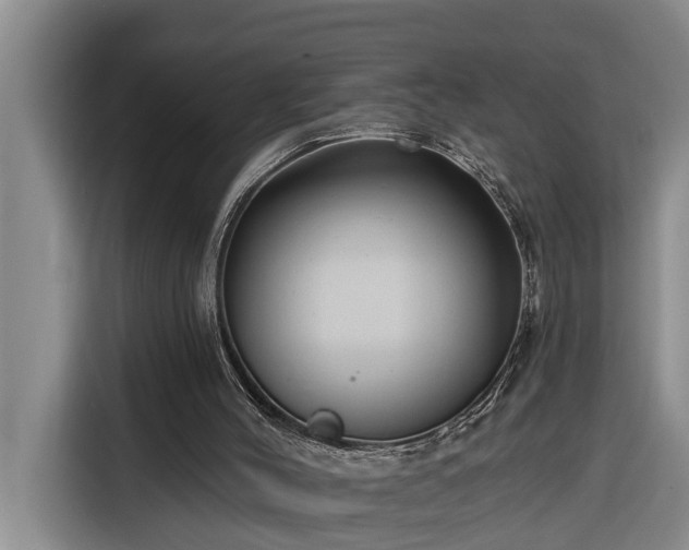 X0000116300004200912071258