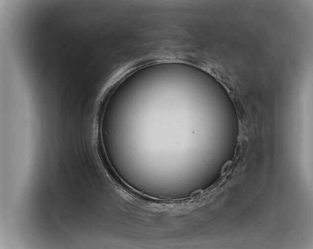 X0000116300005200912071258