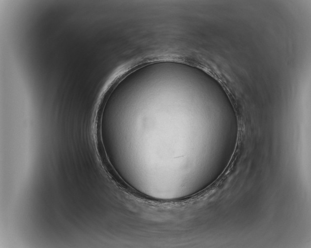 X0000116300006200912071258