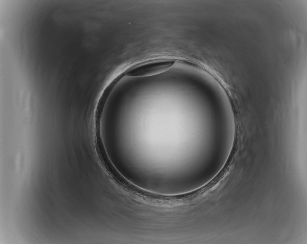 X0000116300008200912071258