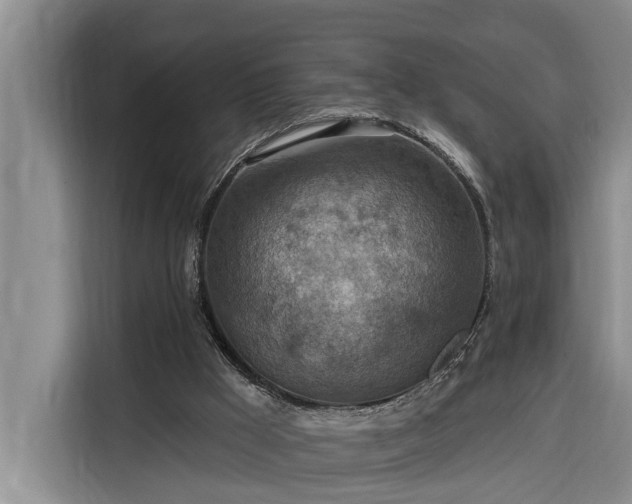 X0000116300009200912071258