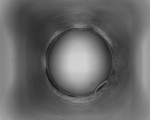 X0000116300011200912071257