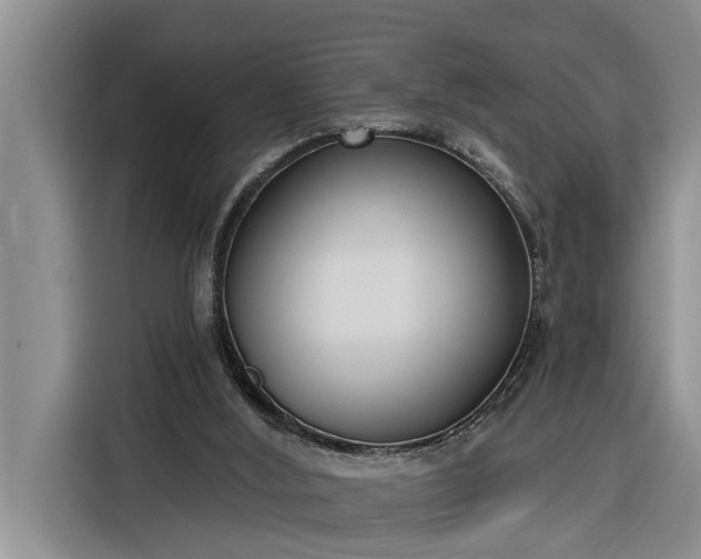 X0000116300012200912071257