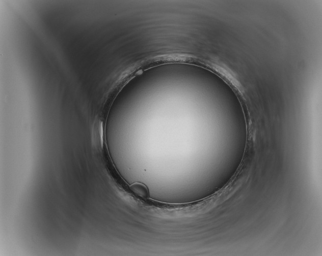 X0000116300013200912071257